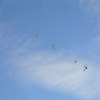 1st Operation Toy Drop 076